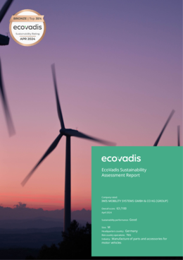 ecovadis | assessment report